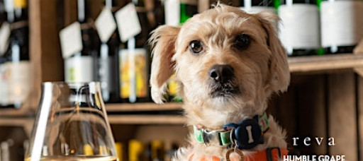 Paws & Pours: Wine Tasting Social For Dog Lovers