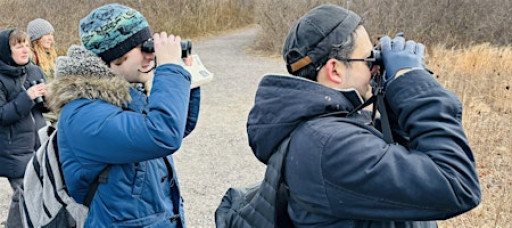 Jamaica Bay Guided Walk: Winter Birds