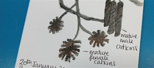 Nature craft for Adults - Nature Journaling