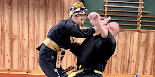 Rumiko Hayes Seminar 2026