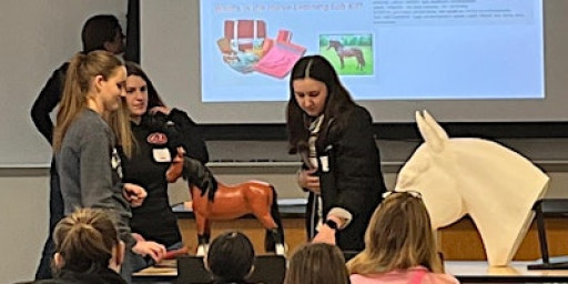 2026 Youth Horse Judging, Hippology and Horse Bowl Training Clinic