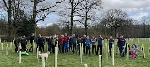 Volunteers needed to plant trees near Wellington, Somerset