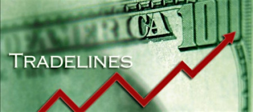 How to Secure Primary Tradelines for Home & Auto: High Limits, Long History