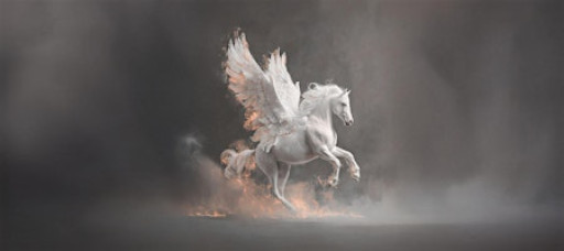 RetreatFest | The Year of the Fire Horse