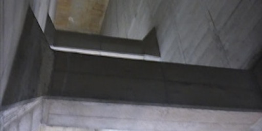 Creative Arts - Home Education Session - Mono Printing and Tone