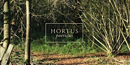 Love Letter to the Land - Hazel Structures in the Garden