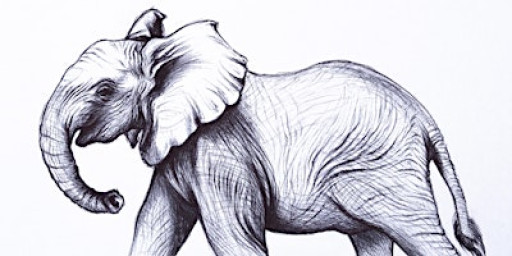 Elephant Art in Ballpoint Pen: Workshop for Children 9+