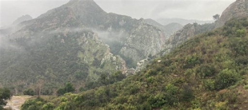 First Day Hikes: Night Hike