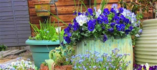 Think Green Thursday: Container Gardening