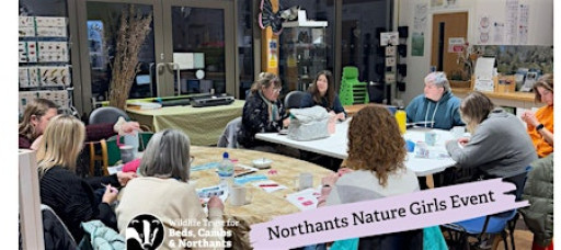 Northants Nature Girls: Craft Club (February)