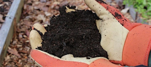 Compost in a Jar