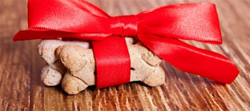 Doggy Treat Cooking Class