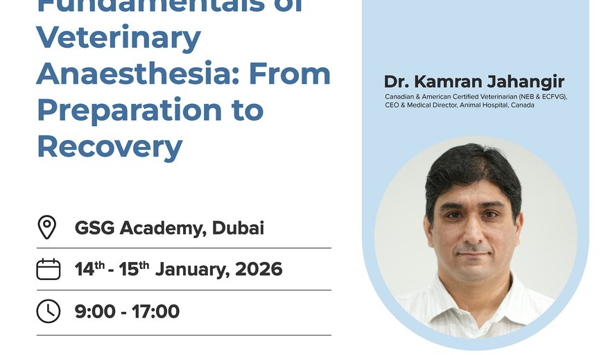 Fundamentals of Veterinary Anaesthesia: From Preparation to Recovery