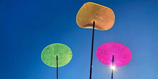 Abstract Photography Workshop with Dr Eva Kalpadaki | Outdoors BRIGHTON