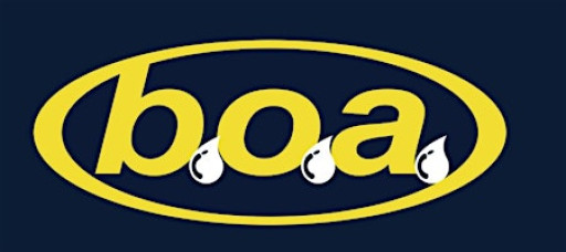 Bradford on Avon Annual Celebration 2026