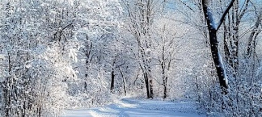 Winter Wonderland Nail Art Contest