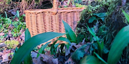 Wild Garlic Adventures