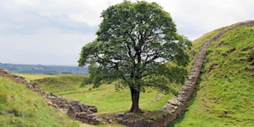 Richard Berg Rust Lecture: Borderlands: an archaeological perspective
