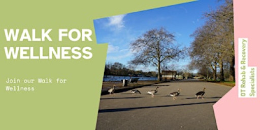 London Walk for Wellness – January 2026