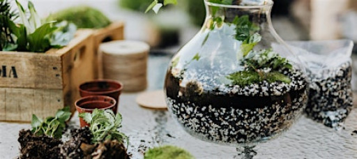 Terrarium Building Workshop in Raleigh