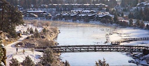 New Year Botany Walk