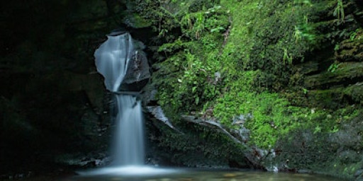 Rise Wellness Weekend Retreat