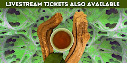 The Science of DMT & Ayahuasca with Dr Chris Timmermann