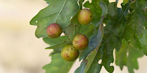 Free Community Art Workshop