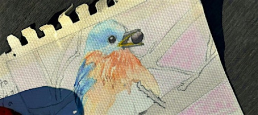 Introduction to Nature Journaling