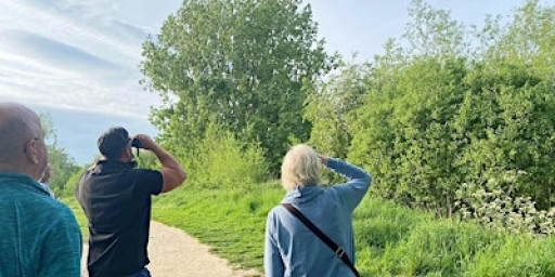 Guided Nightingale Walk at Leybourne Lakes