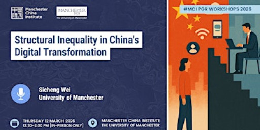 Structural Inequality in China's Digital Transformation