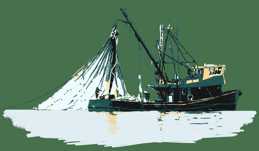 Unravelling the Nets: Report Launch and Policy Deep Dive