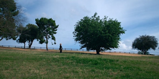 Seasonal Bodies: Weather, Movement, and Wellbeing