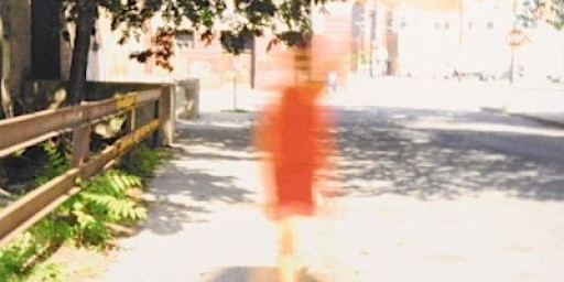 Camera & tricks Seminar: Mar 7, Sat 12:15 - 2:45 PM. In-person/Outdoors.