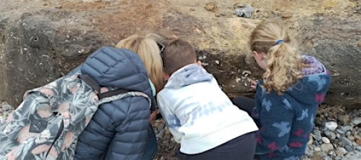 Fascinating fossils (Family Event) West Runton