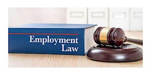 2026 Employment Law and I.C.E. Compliance Update