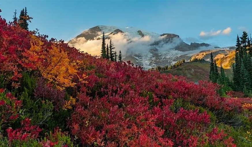 POD01: Organization Design and Development Seminar Training Program