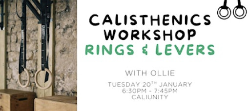 Calisthenics Workshop - Rings & Levers