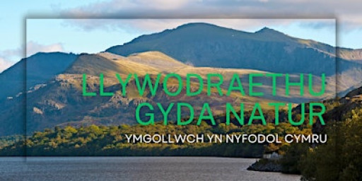 Governing with nature: immerse yourself in Wales’s future