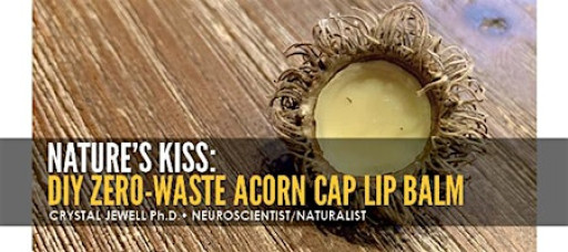 Nature's Kiss: DIY Zero-Waste Acorn Cap Lip Balm