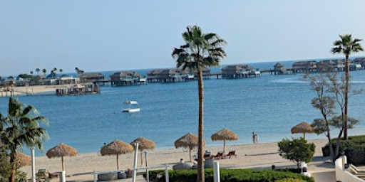 Business Opportunity & Networking Event