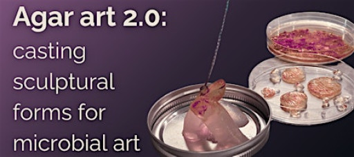 Agar art 2.0: casting with sculptural forms for microbial art