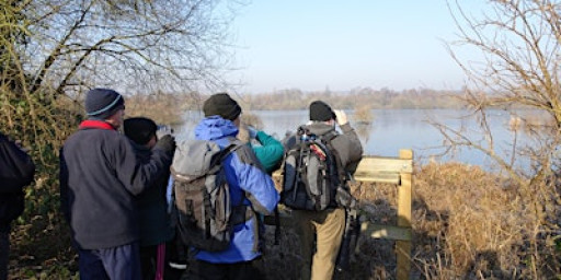 Five Lakes Springtime Walk