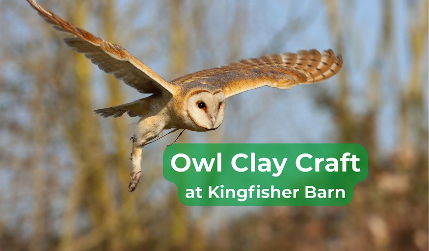 Owl Clay Craft at Kingfisher Barn