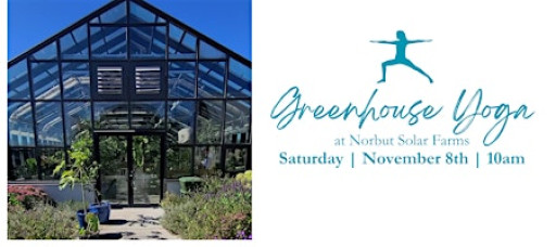 Yoga in the Greenhouse