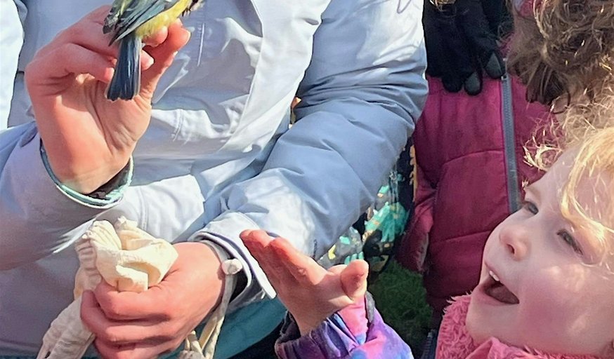 Family Forest Days - TUESDAY