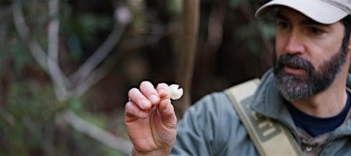 Coastal Fungi Foraging
