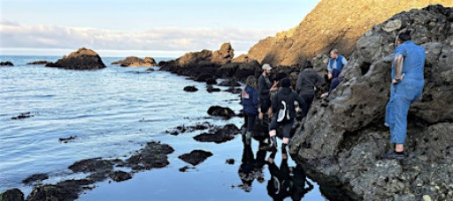 Coastal Tidal Foraging