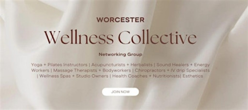 Wellness Networking Event