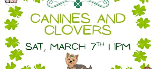 Canines and Clovers